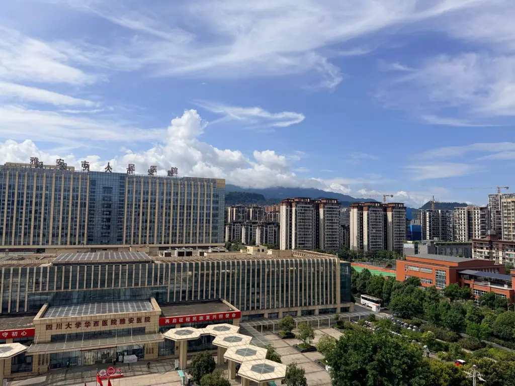 蛋白粉与维生素协同补充的科学依据及适用人群分析