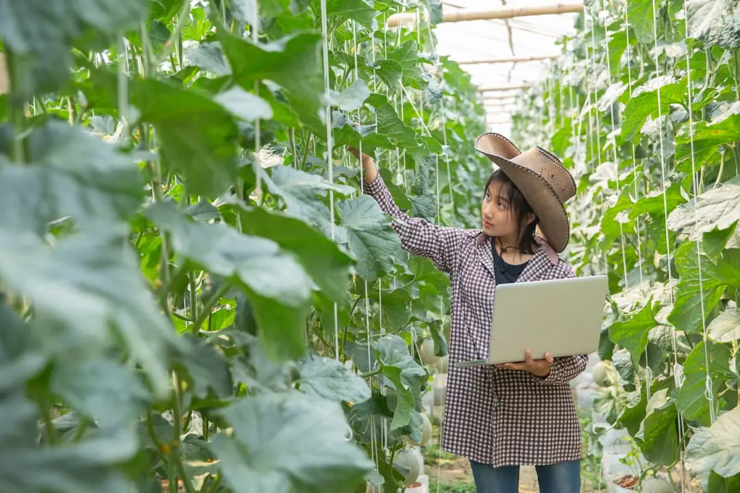 昆明沛然科技蛋白粉与维生素钙片产品规格对比分析