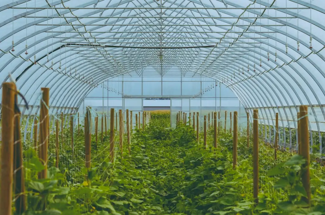 昆明沛然科技明健生物蛋白粉与维生素钙片产品功效对比分析