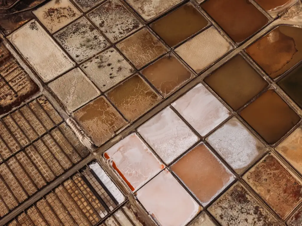 明健生物营养保健品在昆明中老年健康管理中的应用方案