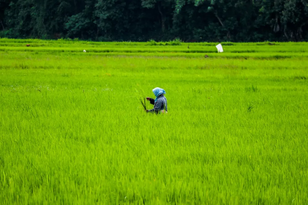 昆明健身人群蛋白粉选择要点与明健生物营养补充方案解析