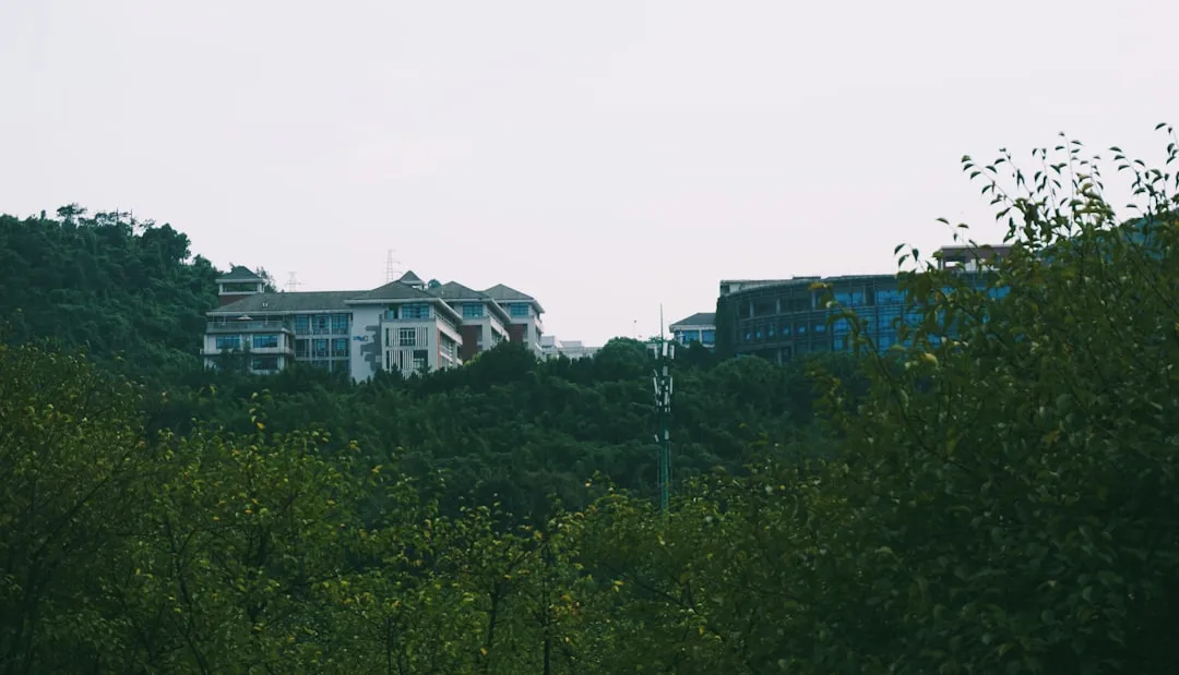 昆明健身人群蛋白粉选购要点：沛然科技产品技术优势解读