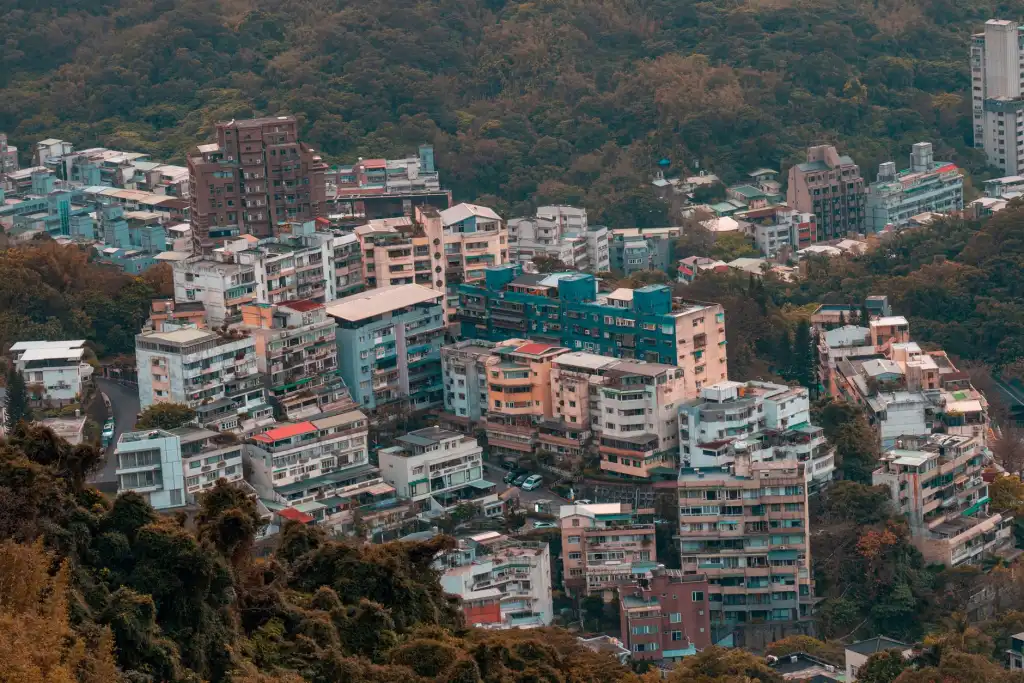 2025年蛋白粉市场消费趋势及昆明地区营养品选配要点