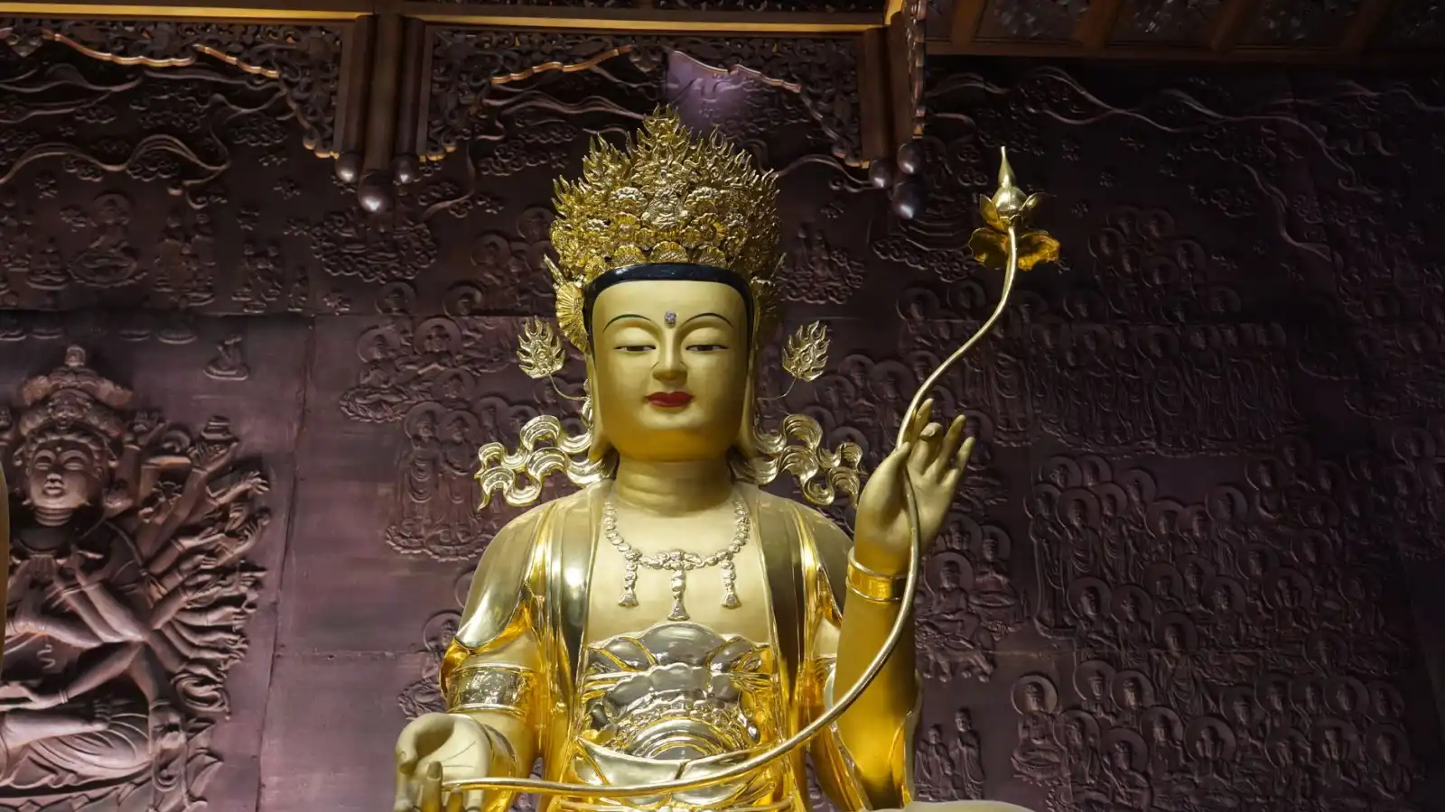 昆明沛然科技解析：蛋白粉与维生素在健身营养补充中的科学搭配